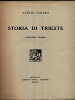 Storia di Trieste vol. I
