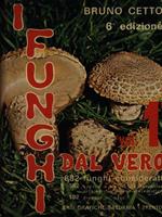 I funghi dal vero 3vv
