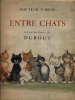 Entre chats