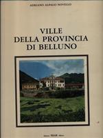 Ville della provincia di Belluno