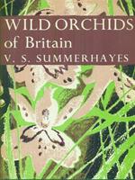 Wild orchids of Britain