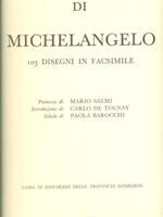 Disegni di Michelangelo
