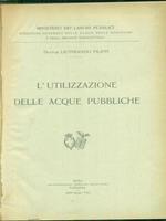 L' utilizzazione delle acque pubbliche