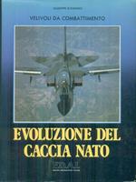 Evoluzione del Caccia Nano