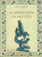 La rivoluzione nei protozoi