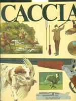 Caccia