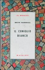 Il coniglio bianco