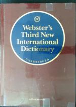 Webster's thir new international dictionary