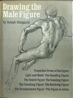 Drawing the male figure