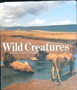 Wild creatures