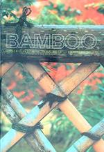 Bamboo