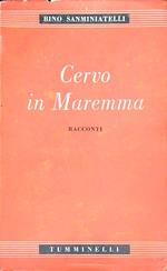 Cervo in Maremma