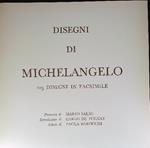 Disegni di Michelangelo