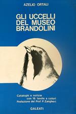 Gli uccelli del museo brandolini