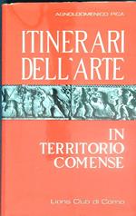 Itinerari dell'arte in territorio comense