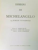 Disegni di Michelangelo. 103 disegni in facsimile