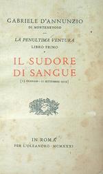 Il sudore di sangue 15 gennaio - 11 settembre 1919