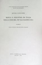 Banca e industria in Italia dalla crisi del 1907 all'agosto 1914. Volume secondo