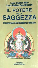 Il potere della saggezza. Insegnamenti del Buddhismo tibetano