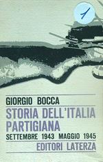 Storia dell'Italia partigiana. Settembre 1943-maggio 1945 