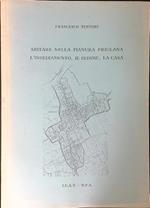 Abitare nella pianura Friulana L'insediamento, il sedime, la casa