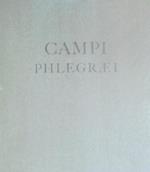 Campi Phlegraei