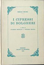 I Cipressi di Bolgheri