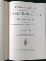 Hebraisches und Aramaisches Handwortherbuch uber das Alte Testament