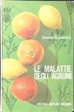 Le malattie degli agrumi