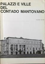 Palazzi e ville del contado mantovano