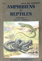 Reptiles et amphibiens. Fascicule II : sauriens - ophidiens