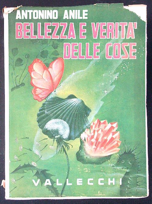 Bellezza e verità delle cose - Antonino Anile - copertina