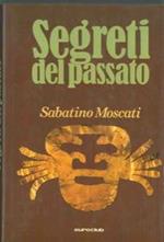 Segreti del passato. Alla scoperta del mondo sepolto