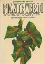 Piante verdi d'appartamento