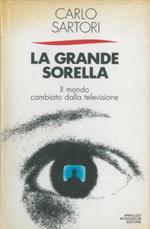 La grande sorella. Il mondo cambiato dalla televisione