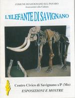 L' elefante di Savignano