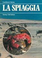 La spiaggia