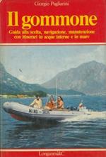 Il gommone. Guida alla scelta, navigazione e manutenzione. Con itinerari in acque interne e in mare