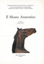 Il Museo Anatomico