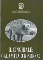 Il cinghiale. Calamità o risorsa?