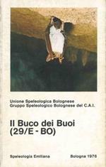 Il Buco dei Buoi (29/E - BO)