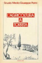 L' agricoltura a Torrita. Indagine della Scuola Media Giuseppe Parini di Torrita di Siena finalizzata all'orientamento scolastico e professionale