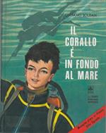 Il corallo é in fondo al mare