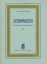 Antropogenesi. L'uomo deriva dalla scimmia