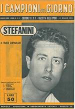 Stefanini