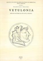 Vetulonia. Appunti di storia di una città etrusca