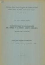 Briozoi della biocalcarenite del Fosso di S. Spirito (Chieti, Abruzzi)