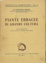 Piante erbacee di grande coltura