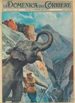 Copertina La Domenica del Corriere. Un elefante rifà l'itinerario di Annibale attraverso le Alpi