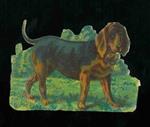 Cromolito Cani : Bloodhound
